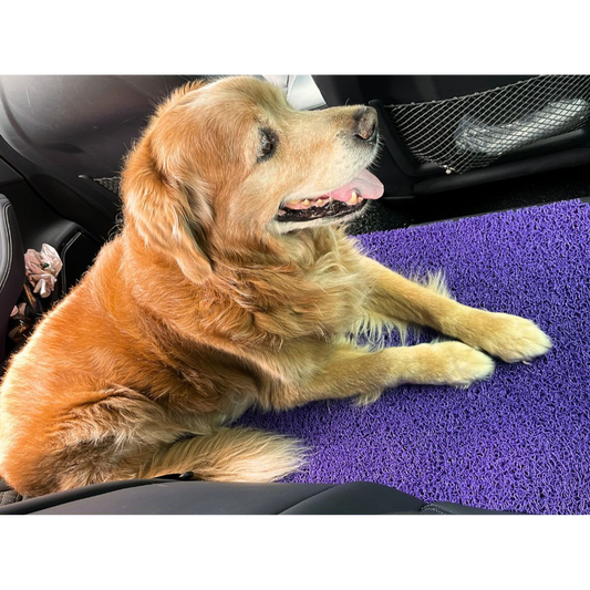 Keep Your Car Mats Clean (Even When Your Pet Claims the Backseat)