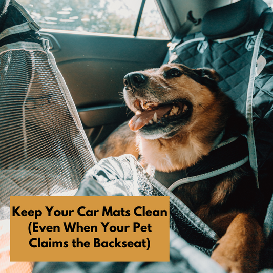 Keep Your Car Mats Clean (Even When Your Pet Claims the Backseat)